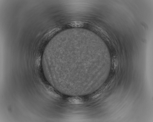 X0000110890652200907091355