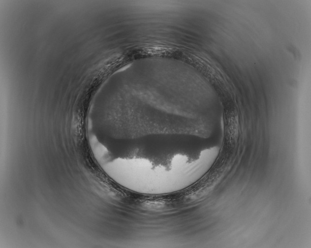 X0000110890653200907091355