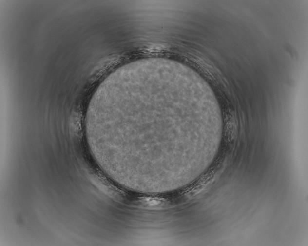 X0000110890654200907091355