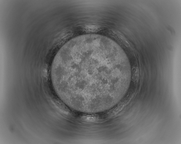 X0000110890655200907091355