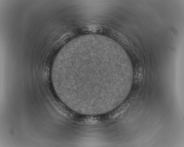 X0000110890656200907091355