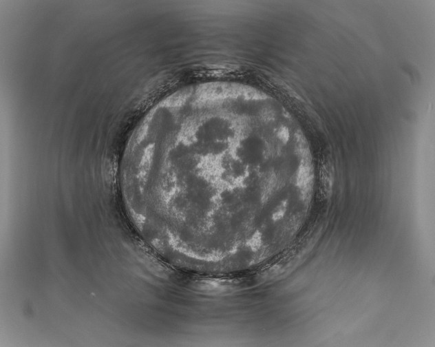 X0000110890657200907091355