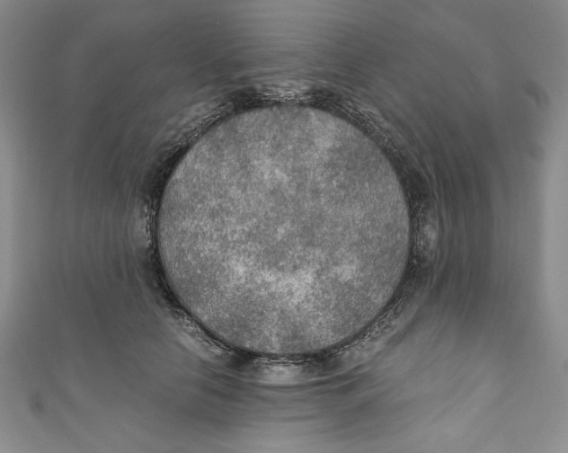 X0000110890658200907091355