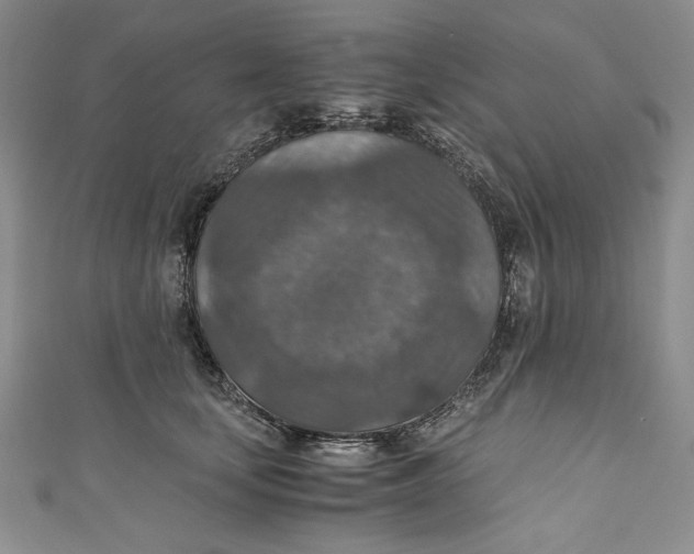 X0000110890659200907091355