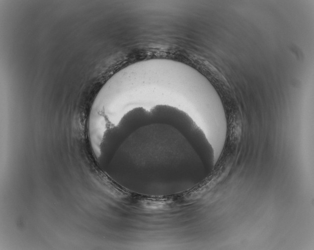 X0000110890661200907091355