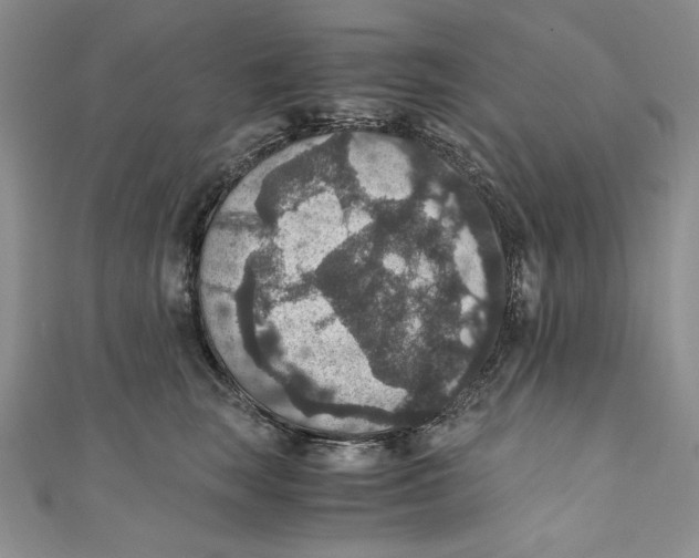 X0000110890663200907091355