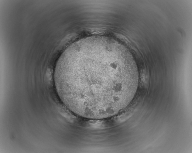 X0000110890667200907091355