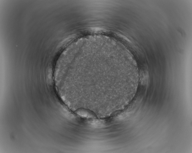 X0000110890670200907091355