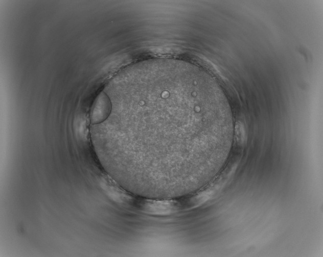 X0000110890671200907091355