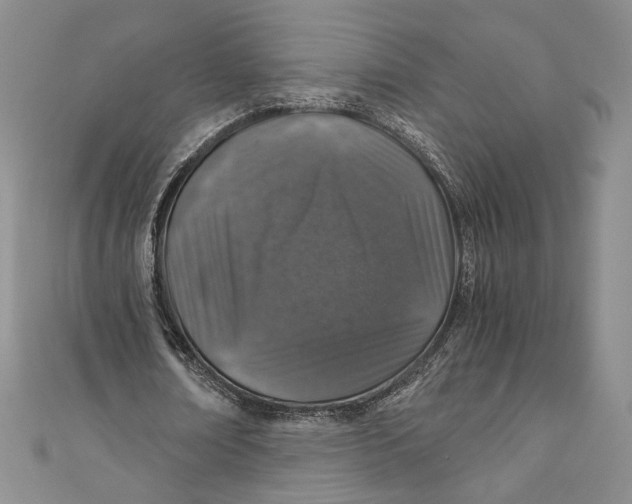 X0000110890674200907091354