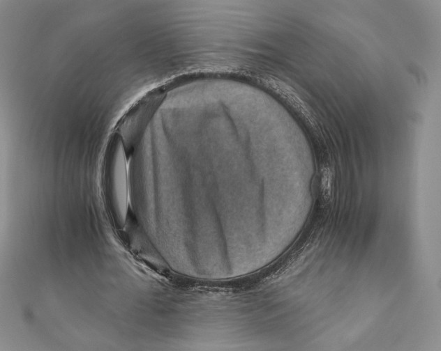 X0000110890676200907091354