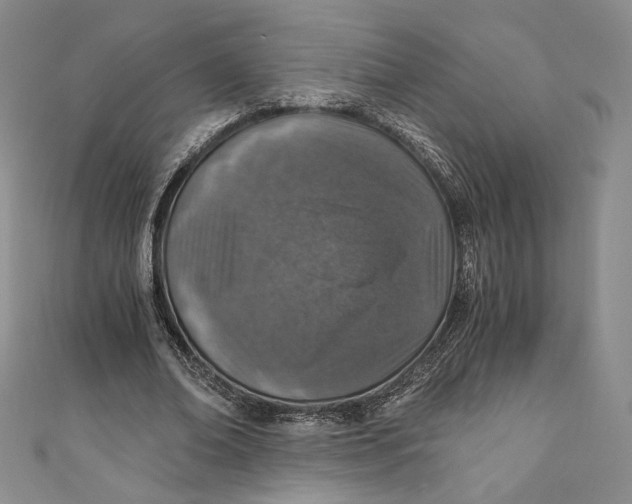 X0000110890678200907091354