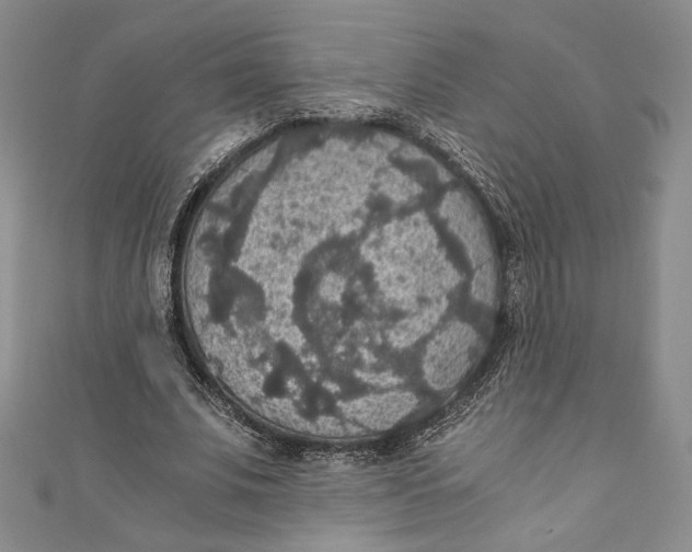 X0000110890679200907091354