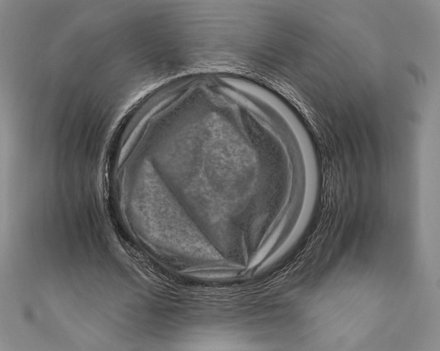 X0000110890680200907091354