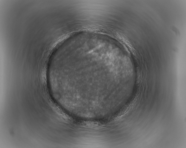 X0000110890681200907091354