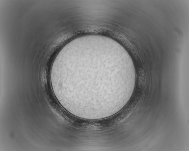 X0000110890683200907091354