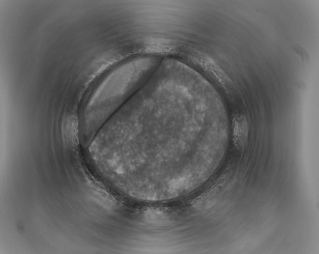 X0000110890684200907091354