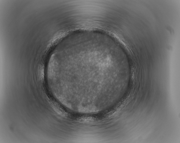 X0000110890685200907091354