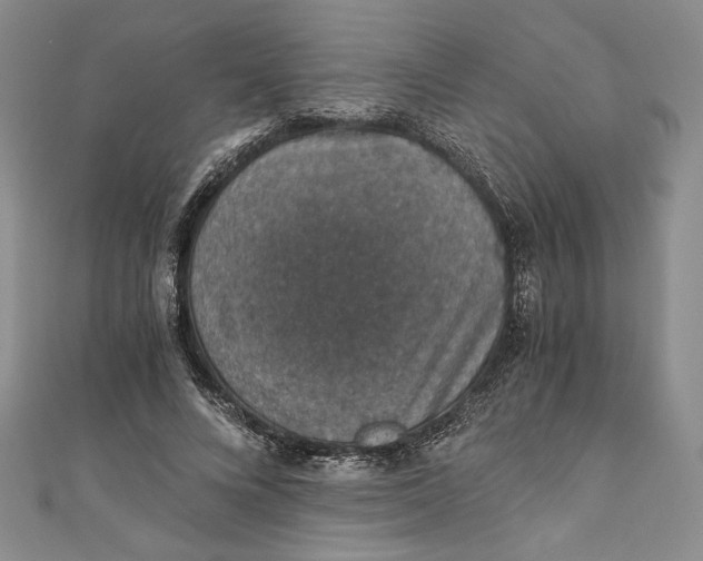 X0000110890688200907091354