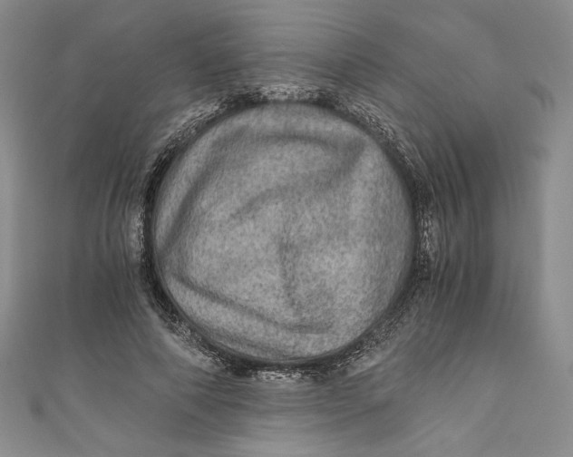 X0000110890690200907091354