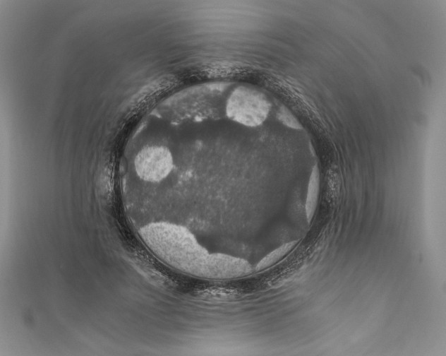 X0000110890691200907091354