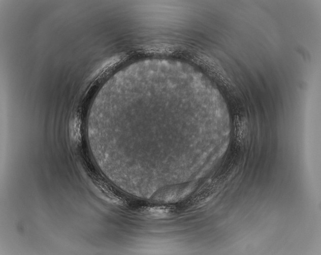 X0000110890692200907091354