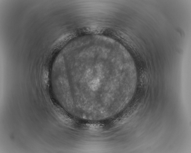 X0000110890693200907091354