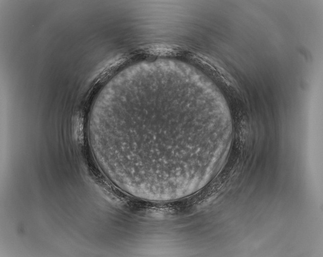 X0000110890696200907091354