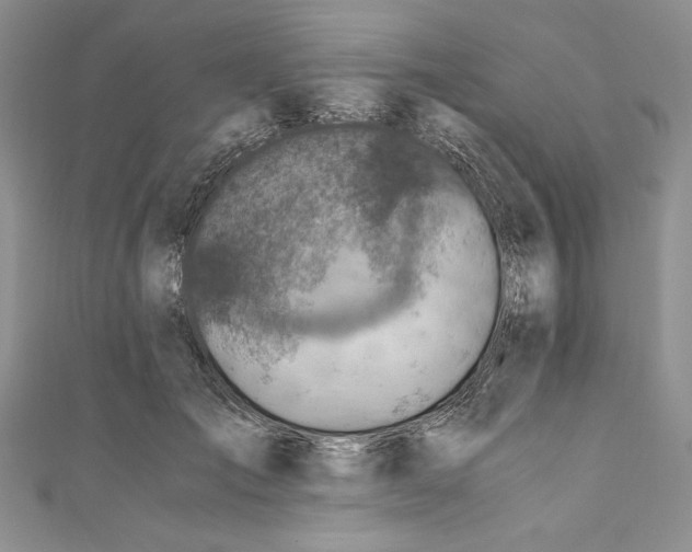 X0000110890701200907091354