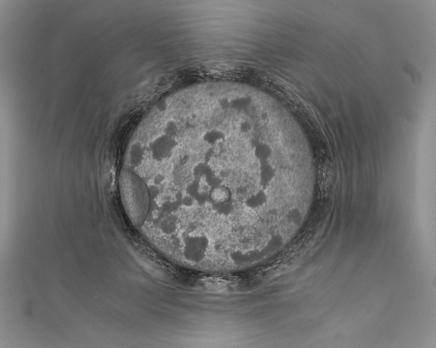 X0000110890703200907091354