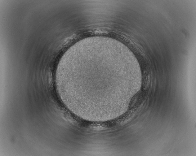 X0000110890704200907091354