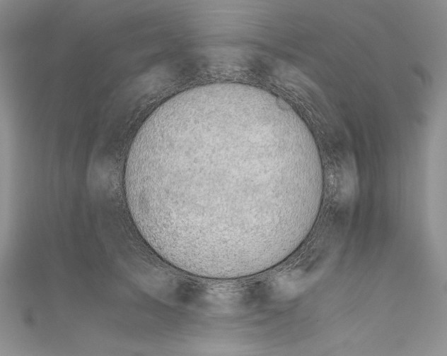 X0000110890705200907091354