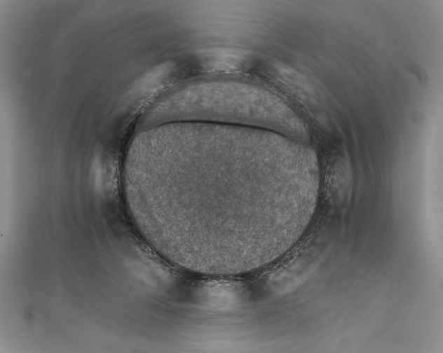 X0000110890708200907091354