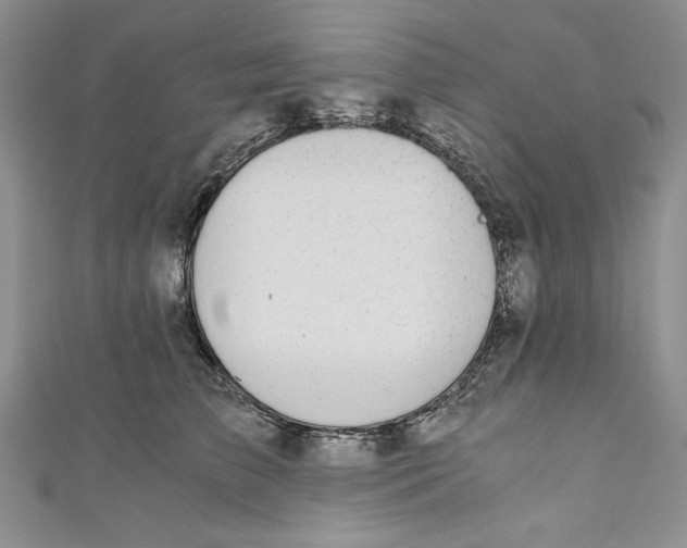 X0000110890709200907091354