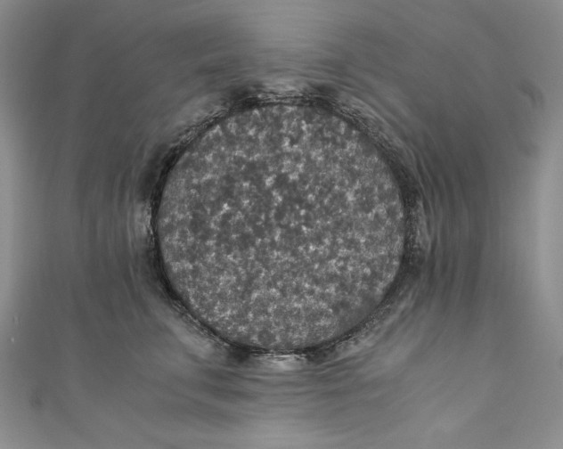 X0000110890711200907091354