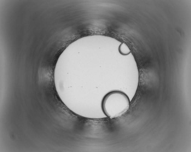 X0000110890713200907091354