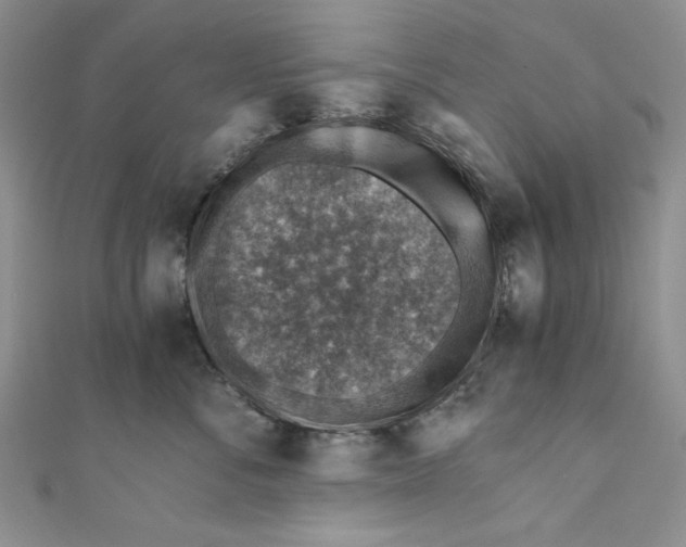 X0000110890716200907091354