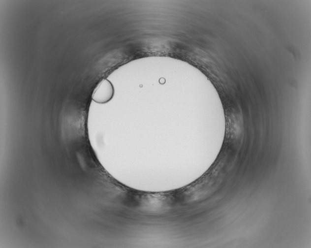 X0000110890717200907091354