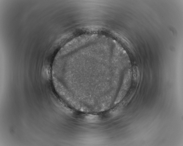 X0000110890718200907091354