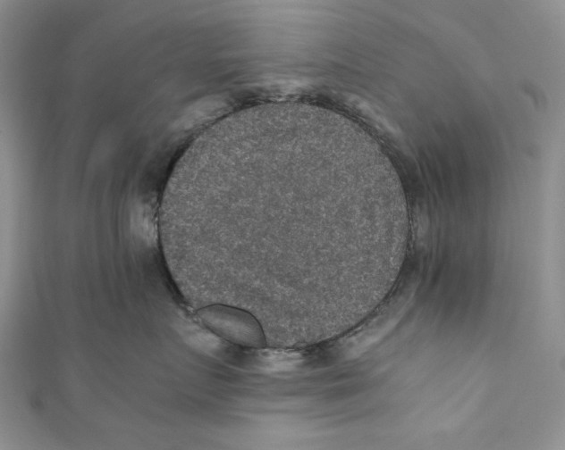 X0000110890719200907091354