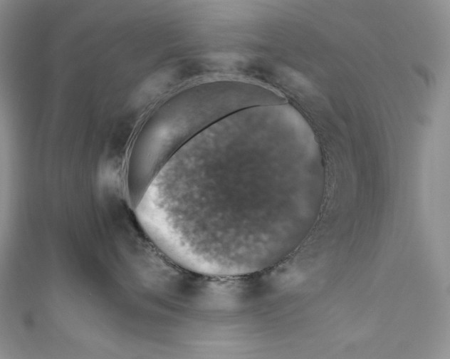 X0000110890720200907091354