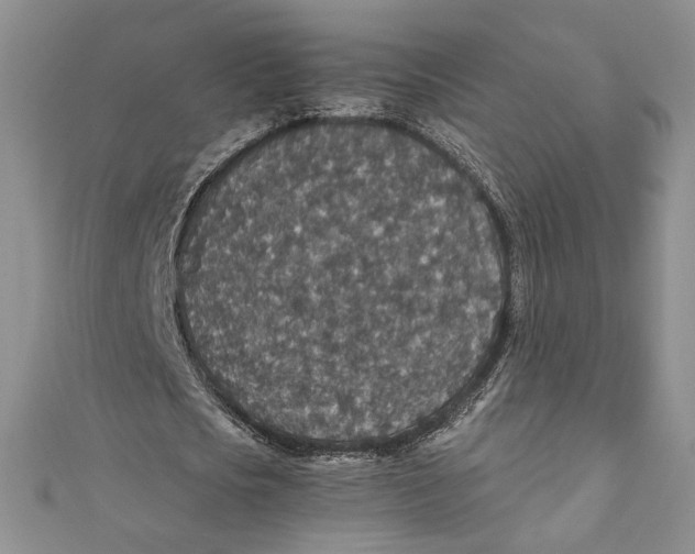 X0000110890721200907091353