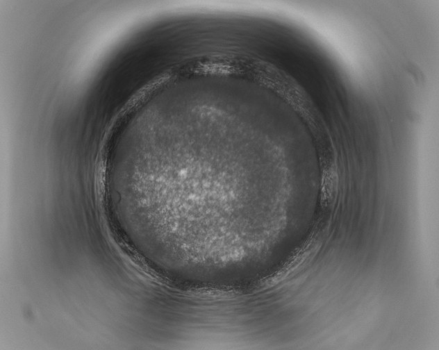 X0000110890722200907091353