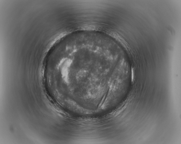 X0000110890723200907091353