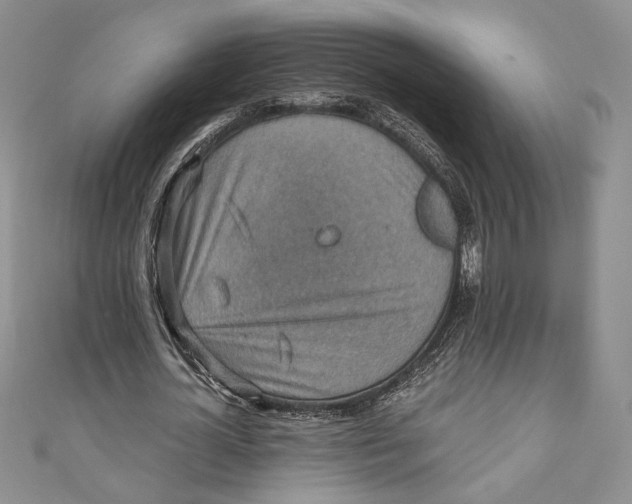 X0000110890724200907091353