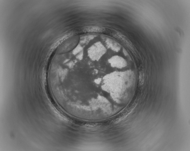 X0000110890725200907091353