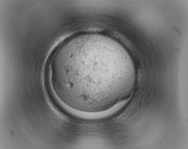 X0000110890726200907091353