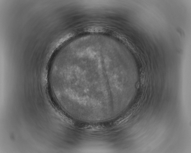 X0000110890727200907091353