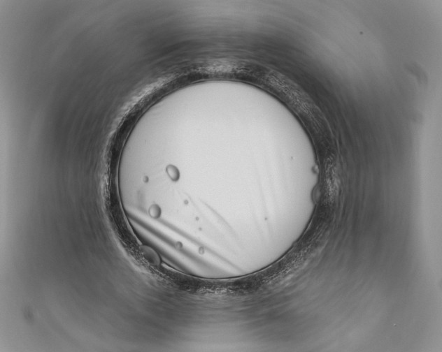 X0000110890728200907091353