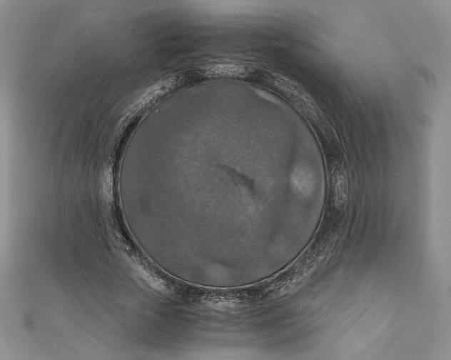 X0000110890729200907091353